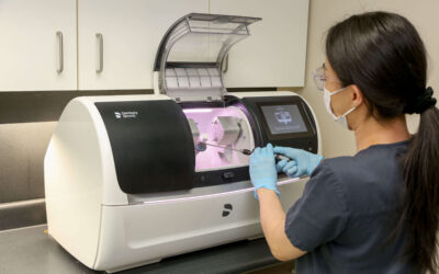 Periodontal Care: Protecting the Foundation of Your Smile